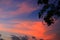 Tree and branch silhouette at sunset in sky beautiful landscape image on nature