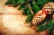 Tree Branch on wooden background with festive ribbon and forest