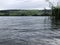 A tree with branches branching into the calm lake water,