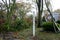 Tree Branches on downed wires after Super Storm Sandy