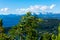 Tree branches with the Nahuel Huapi Lake and the mountains in the Background