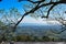 Tree branches slightly covering the view of a vast land and sea. Philippine flag waving with the winds