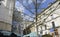 Tree and buildings in Paris