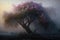tree bursting with blooms, surrounded by misty dawn