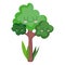 tree cartoon greenery ecological nature foliage