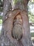 Tree Carving of man