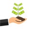 Tree with cash on hand. A man holds a handful of land with a money tree. Businessman hand with coin tree.