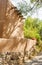 Tree casts shadows on adobe wall on Canyon Road in Santa Fe, New