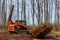 Tree clearing for housing preparation land new residential development