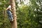 Tree climber and logger