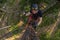 Tree climber up in a tree with climbing gear