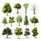 Tree Clipart Collection Isolated Trees