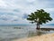 Tree and clouds in the Philippines