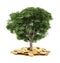 Tree and coins , currency,
