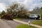 Tree Collapsed Hurricane Irma