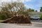 Tree Collapsed Hurricane Irma