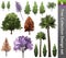 Tree correction design set. 3D Illustration.