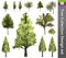 Tree correction design set. 3D Illustration.