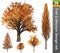 Tree correction design set. 3D Illustration.