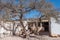 Tree in a courtyard at La Posta de los Hornillos historical museum in Tilcara, Argentina