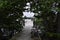 Tree covered deck leading to a pier