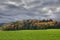 Tree covered hills in autumn