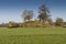 Tree covered neolithic burial mound