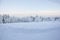 Tree covered with snow in Finnish Lapland, still snowing, sunset