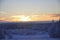 Tree covered with snow in Finnish Lapland, still snowing, sunset