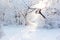 Tree covered with snow snowy branch bent over the road