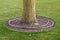 Tree covered with straws for the heat and irrigation system in a modern park