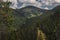 Tree-Covered Vail Mountain