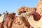 Tree cute smiling camels in Wadi Rum desert
