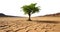 tree in the desert. overcoming adversities concept. transparent PNG. green tree.