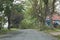 Tree down on Dublin Street Halifax