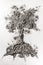 Tree drawing illustration concept made in ash, dust, dirt, sand