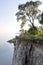 Tree on edge of cliff and Lake Ontario - Scarborough Bluffs - Toronto