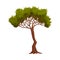 Tree with Exuberant Green Foliage and Trunk Vector Illustration