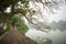 Tree in fall season at Hoan Kiem lake with Vietnamese girl wear traditional dress Ao Dai walking by lake in Hanoi