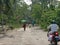 Tree fallen on road after Amphan india west bengal