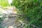 Tree falls on street and blocks road