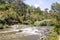 Tree Falls in the Yarra Valley Parklands, Templestowe VIC 3106, Australia