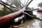 tree fell on car during hurricane in aftermath hurricane