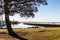 Tree and Fishing Pier at Chula Vista Bayfront Park