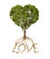 Tree with foliage with the shape of a heart and roots as text Lo