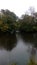Tree, forest, landscape, nature, lake, pond, autumn, witch forest, rain.