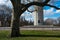 Tree at Fort Greene Park in Brooklyn New York near the Prison Ship Martyrs Monument with the Lower Manhattan Skyline in the Distan