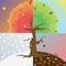 Tree four Saesons icon great for any use. Vector EPS10.
