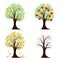 Tree in four seasons. Spring, summer, autumn, winter. Isolated on white background. Vector