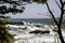 Tree framed seascape Costa Rica